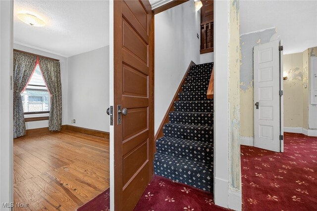 125 Columbus St, Elyria, OH 44035 - photo 28