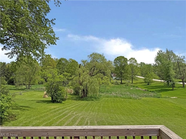 7247 Kiltie Ln, Northfield, OH 44067 - view of green lawn with view of scattered trees