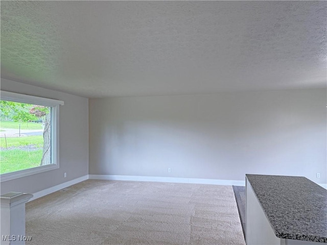 7247 Kiltie Ln, Northfield, OH 44067 - empty room with a textured ceiling and carpet