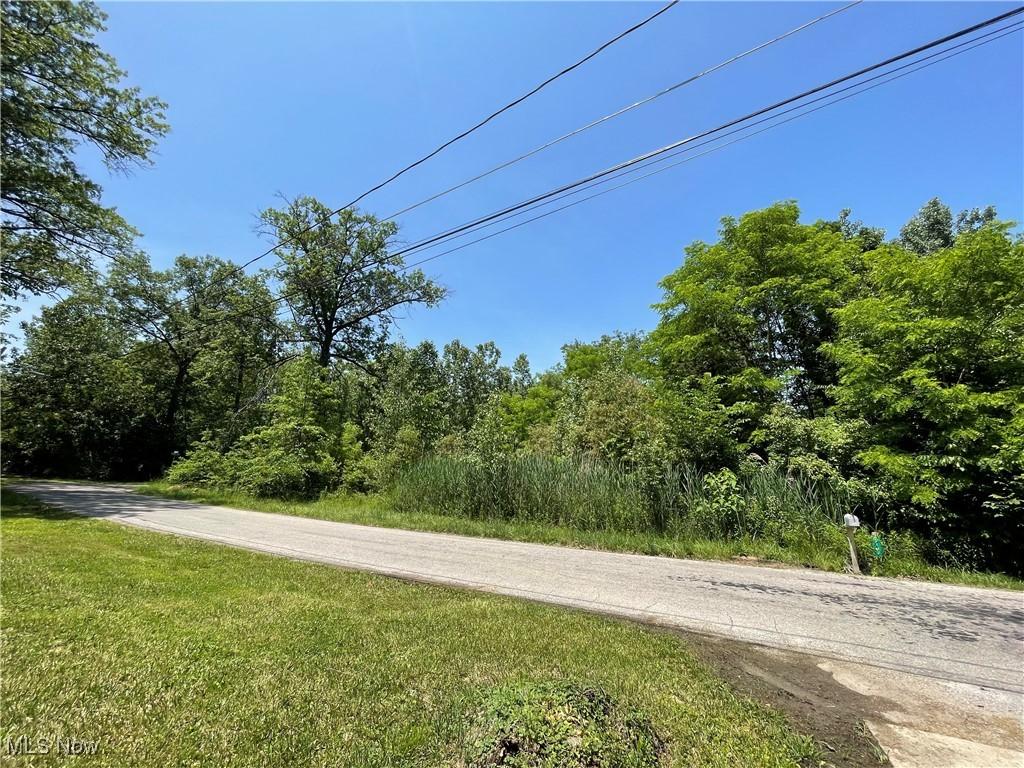 42190 Helen St, Elyria, OH 44035 - photo 1