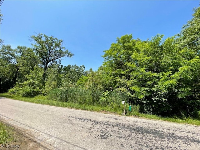 42190 Helen St, Elyria, OH 44035 - photo 2