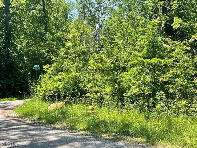 42190 Helen St, Elyria, OH 44035 - photo 3