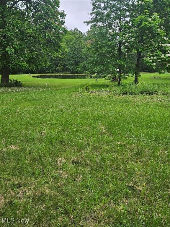 6270 Fairview Rd, Austintown, OH 44515 - view of yard