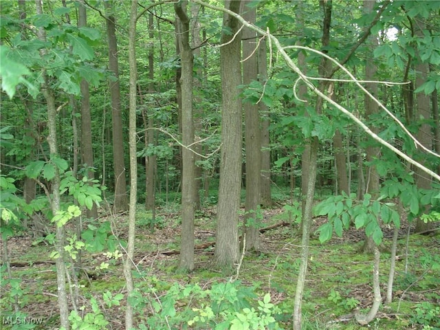 2271 Lenox New Lyme Rd, Jefferson, OH 44047