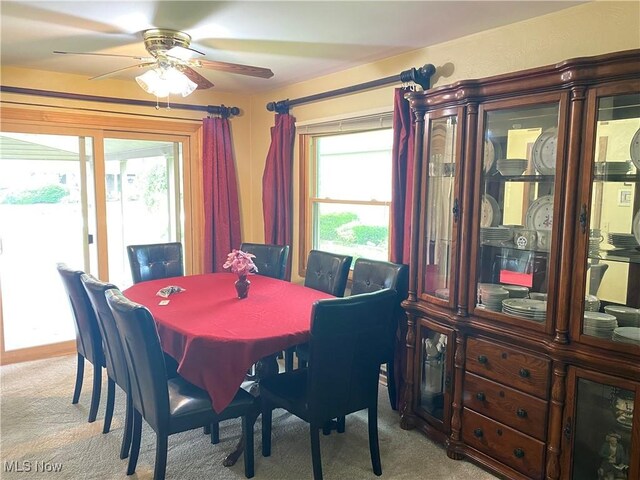 1308 Powell Ave, Salem, OH 44460 - photo 13