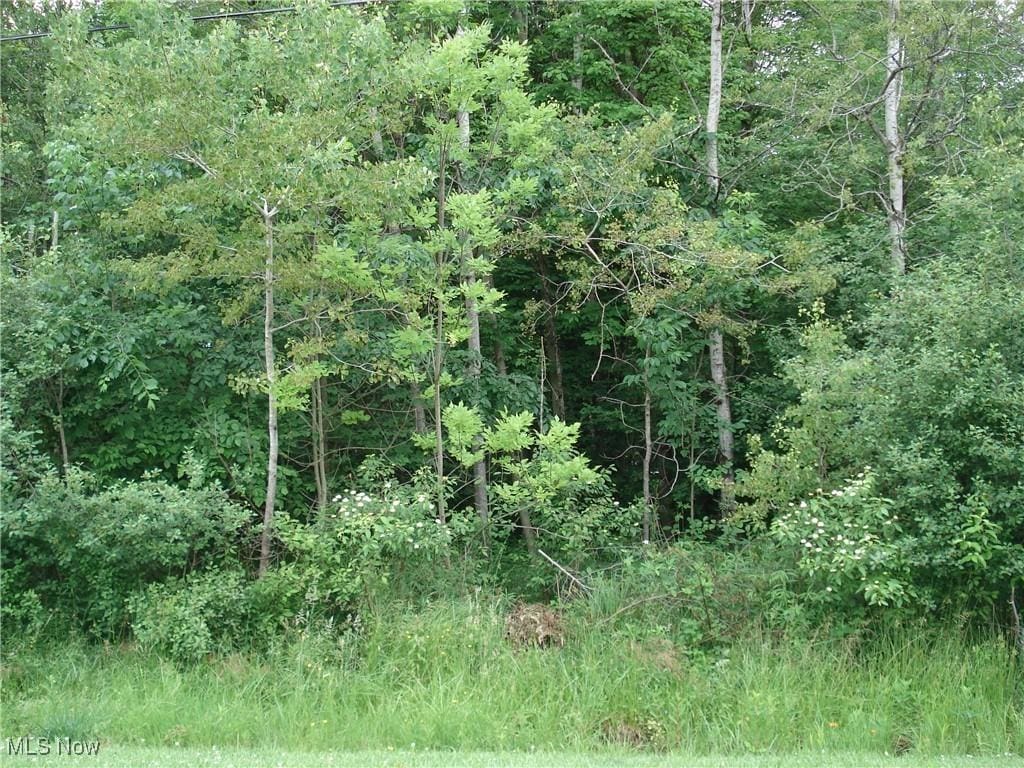 315 Morgan Ter, Roaming Shores, OH 44084 - photo 1