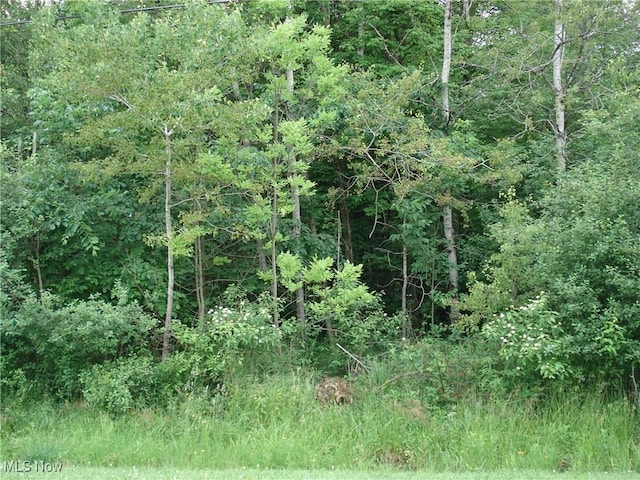 315 Morgan Ter, Roaming Shores, OH 44084 - photo 1