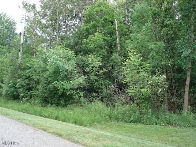 315 Morgan Ter, Roaming Shores, OH 44084 - photo 3