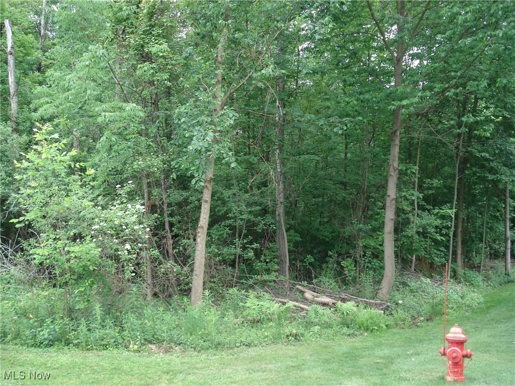 315 Morgan Ter, Roaming Shores, OH 44084 - photo 4