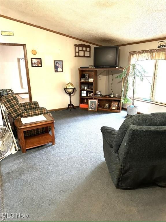 6261 State Route 88, Kinsman, OH 44428 - photo 4