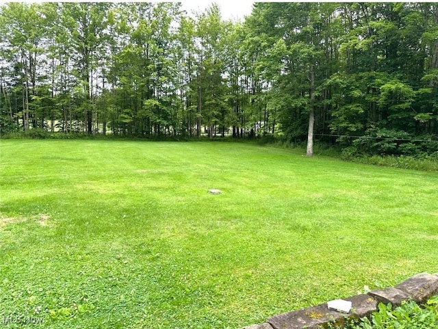 6261 State Route 88, Kinsman, OH 44428 - photo 16