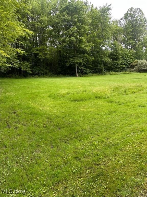 6261 State Route 88, Kinsman, OH 44428 - photo 17