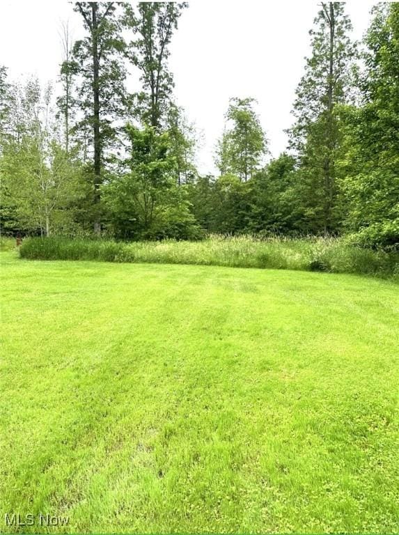 6261 State Route 88, Kinsman, OH 44428 - photo 20
