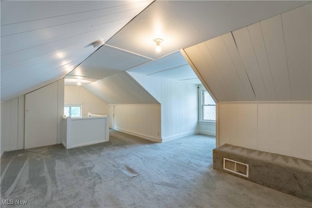 996 Peerless Ave, Akron, OH 44320 - additional living space featuring carpet floors, healthy amount of natural light, vaulted ceiling, and wooden walls