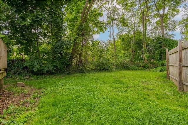 996 Peerless Ave, Akron, OH 44320 - view of yard