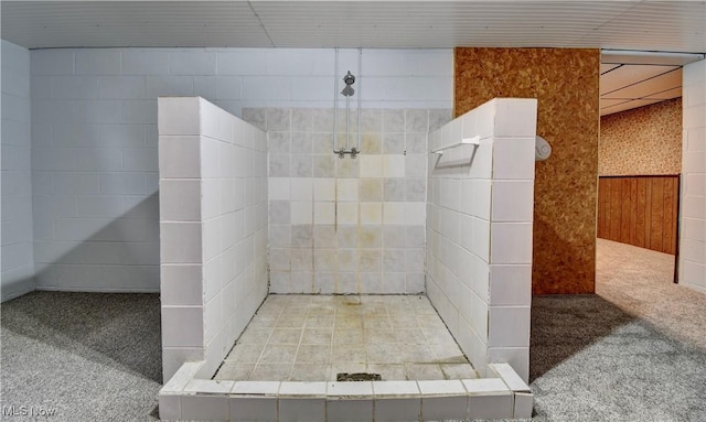 1592 Pleasant Vw, Dover, OH 44612 - full bath with tiled shower