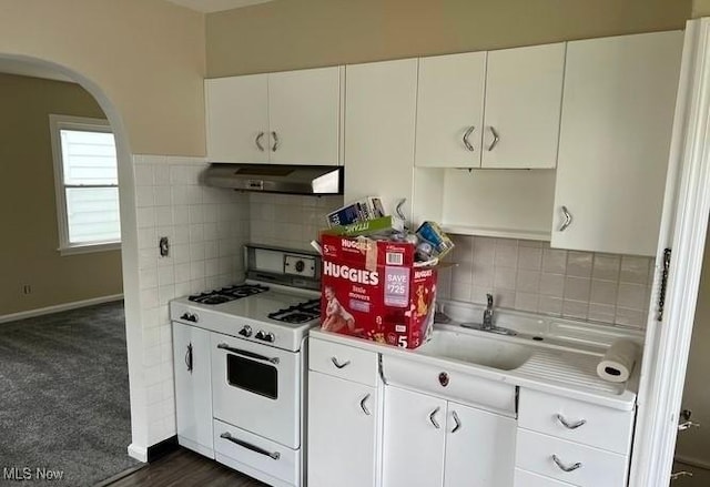 920 Washington Ave, Girard, OH 44420 - kitchen featuring gas range gas stove, under cabinet range hood, arched walkways, light countertops, and decorative backsplash