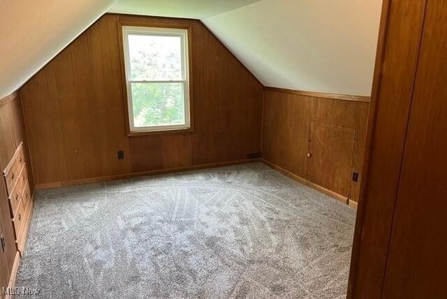 920 Washington Ave, Girard, OH 44420 - additional living space featuring wooden walls, vaulted ceiling, and carpet