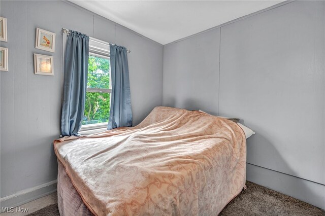 4532 W 172nd St, Cleveland, OH 44135 - bedroom with carpet