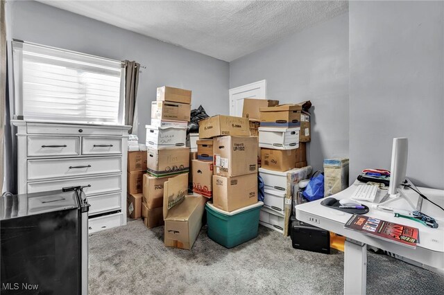 4532 W 172nd St, Cleveland, OH 44135 - view of storage area