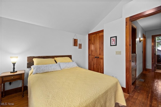 731 Cedar Point Rd, Sandusky, OH 44870 - bedroom featuring dark wood-type flooring, lofted ceiling, and a closet