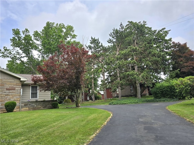 36277 Butcher Rd, Salem, OH 44460 - view of property hidden behind natural elements featuring stone siding, a front yard, and driveway