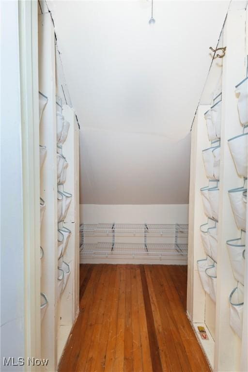 260 Morgan, Oberlin, OH 44074 - walk in closet with wood-type flooring