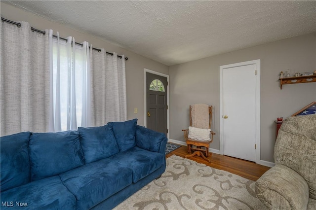 1209 Oak Ave SE, Massillon, OH 44646 - living area featuring wood finished floors and a textured ceiling