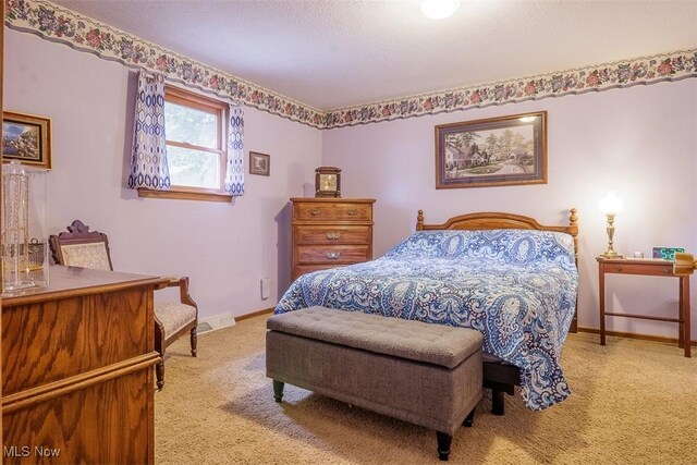 456 Hickory Ln, Salem, OH 44460 - carpeted bedroom featuring baseboards and a textured ceiling