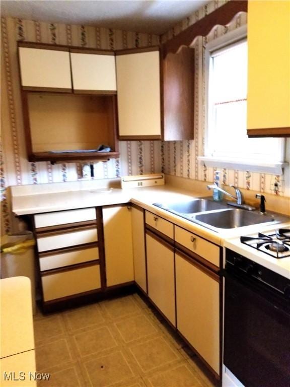 21050 N Vine Ave, Euclid, OH 44119 - photo 8