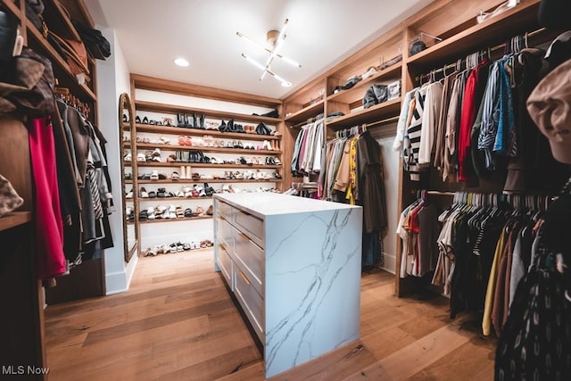 7363 Kempton Ct, Canfield, OH 44406 - walk in closet with light wood-style floors