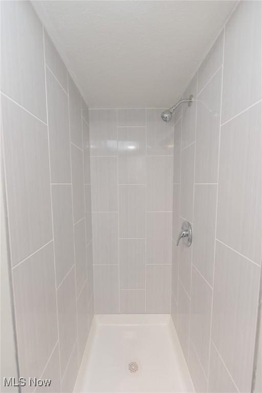 6114 Crossview Rd, Seven Hills, OH 44131 - bathroom with a tile shower