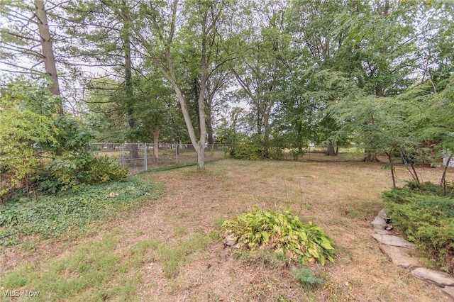 6114 Crossview Rd, Seven Hills, OH 44131 - view of yard