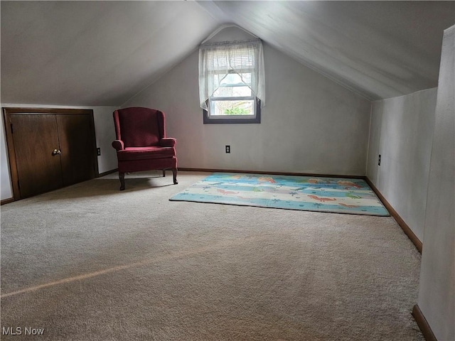 145 Edgewood Dr, Berea, OH 44017 - bonus room with carpet and lofted ceiling