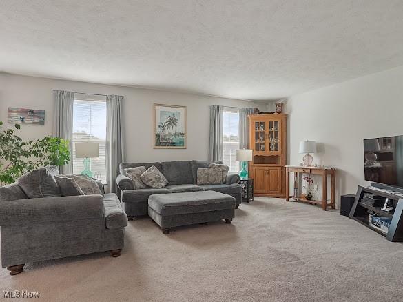 5032 Blackberry Ln, Ravenna, OH 44266 - photo 8