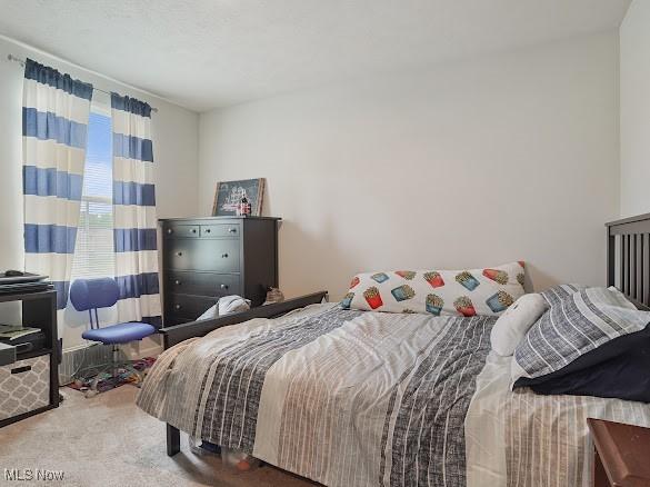 5032 Blackberry Ln, Ravenna, OH 44266 - photo 28