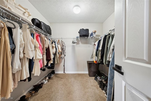 3523 Magnolia Dr, Lorain, OH 44053 - walk in closet featuring carpet flooring