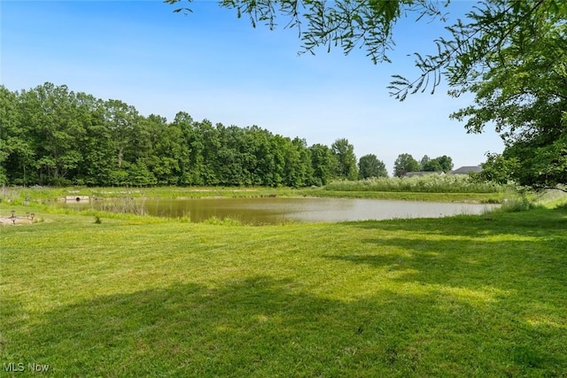 3523 Magnolia Dr, Lorain, OH 44053 - view of green lawn featuring a water view and a view of trees