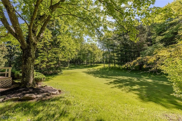 13913 County Line Rd, Novelty, OH 44072 - photo 10