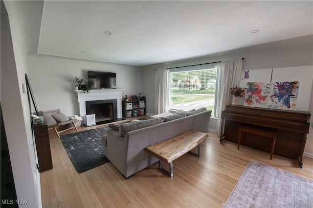 320 Brookfield Ave, Boardman, OH 44512 - living area featuring light wood-type flooring and a fireplace