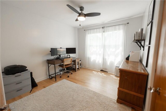 320 Brookfield Ave, Boardman, OH 44512 - office featuring wood finished floors and ceiling fan