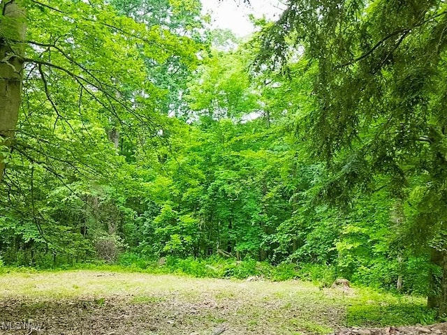 209 Beechwood Blvd, Wintersville, OH 43953 - view of woods