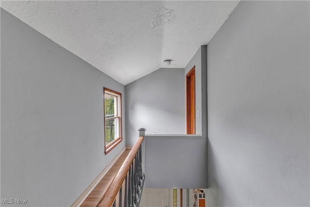 81 S Pleasant St, Oberlin, OH 44074 - stairway with a textured ceiling and vaulted ceiling