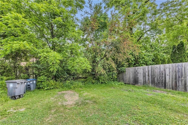 81 S Pleasant St, Oberlin, OH 44074 - view of yard