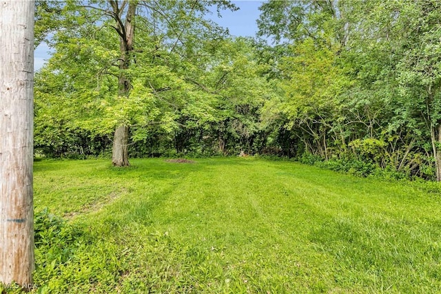 360 S Main St, Oberlin, OH 44074 - photo 4