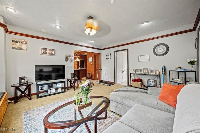 360 S Main St, Oberlin, OH 44074 - photo 25