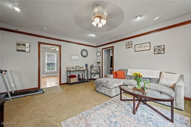 360 S Main St, Oberlin, OH 44074 - photo 26