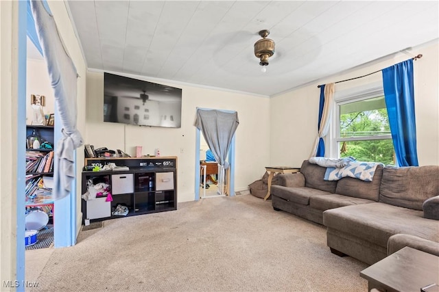 83 S Pleasant St, Oberlin, OH 44074 - carpeted living room featuring ornamental molding