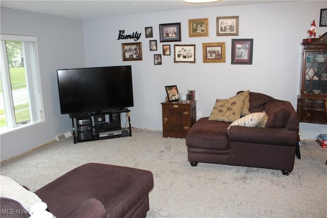 2869 Wexford Blvd, Stow, OH 44224 - carpeted living room featuring plenty of natural light