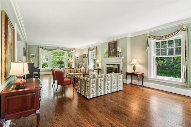 2820 W Park Blvd, Shaker Heights, OH 44120 - living room featuring crown molding, wood finished floors, and a glass covered fireplace